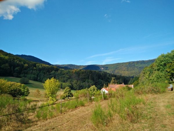 panorama de Gensbourg