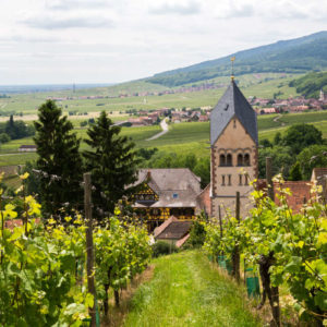 route des vins Itterswiller