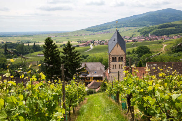 route des vins Itterswiller