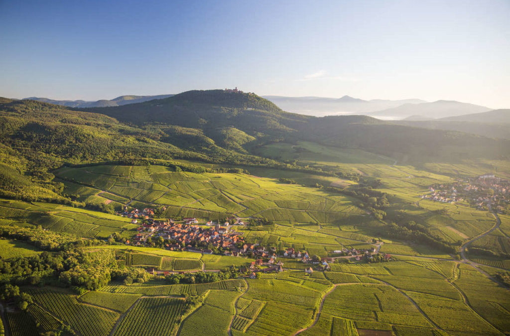 La route des vins d’Alsace sans voiture