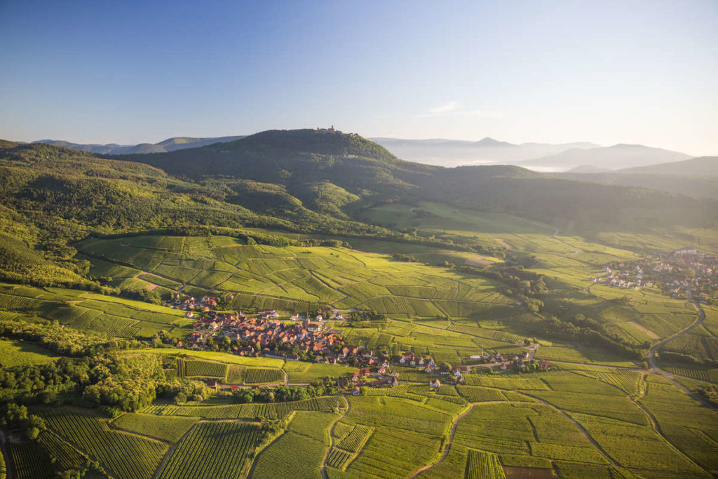 route des Vins d'Alsace