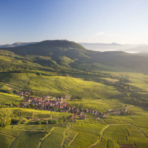 route des Vins d'Alsace