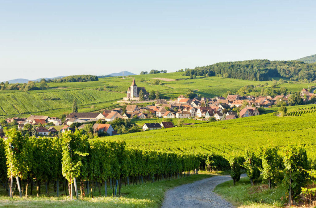 Histoire de la route des vins d’Alsace