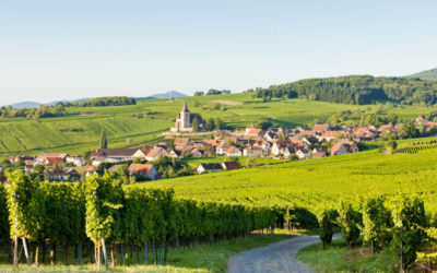 Histoire de la route des vins d’Alsace